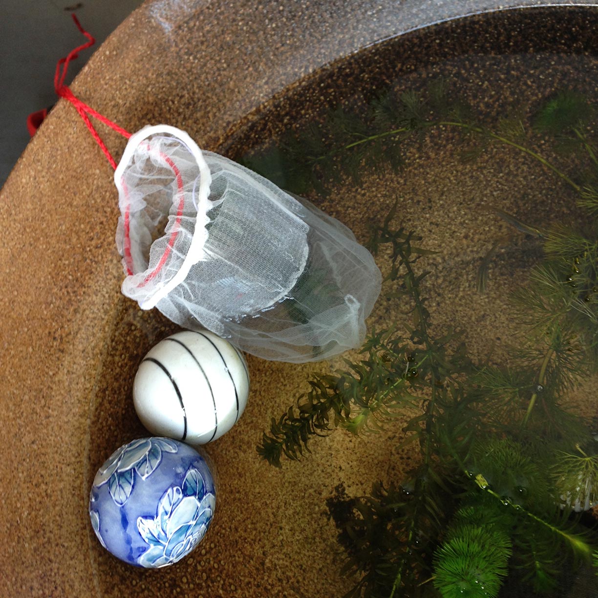 メダカの稚魚を隔離する容器を自作してみた Nmrevolution Blog