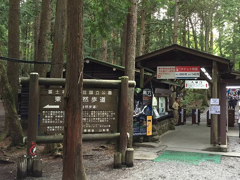 次は「富岳風穴」だよ
