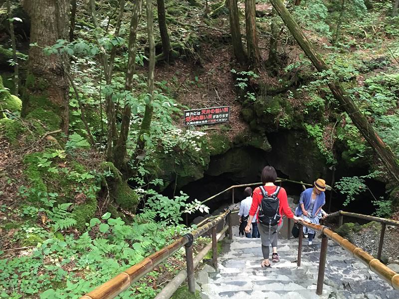 富岳風穴にも階段で入る。こちらも急に気温が変わる。