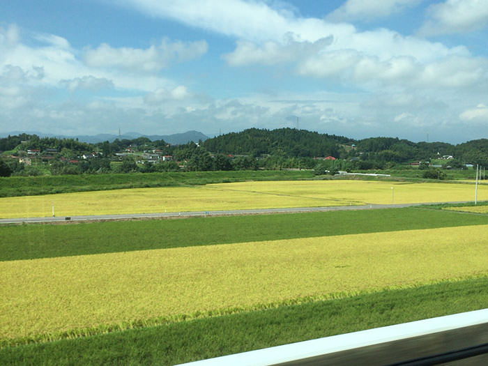だいたいこんな風景。